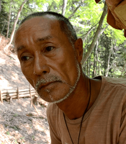 Takashi Kobayashi's Tree house Designed in Memory of the Tsunami Victims