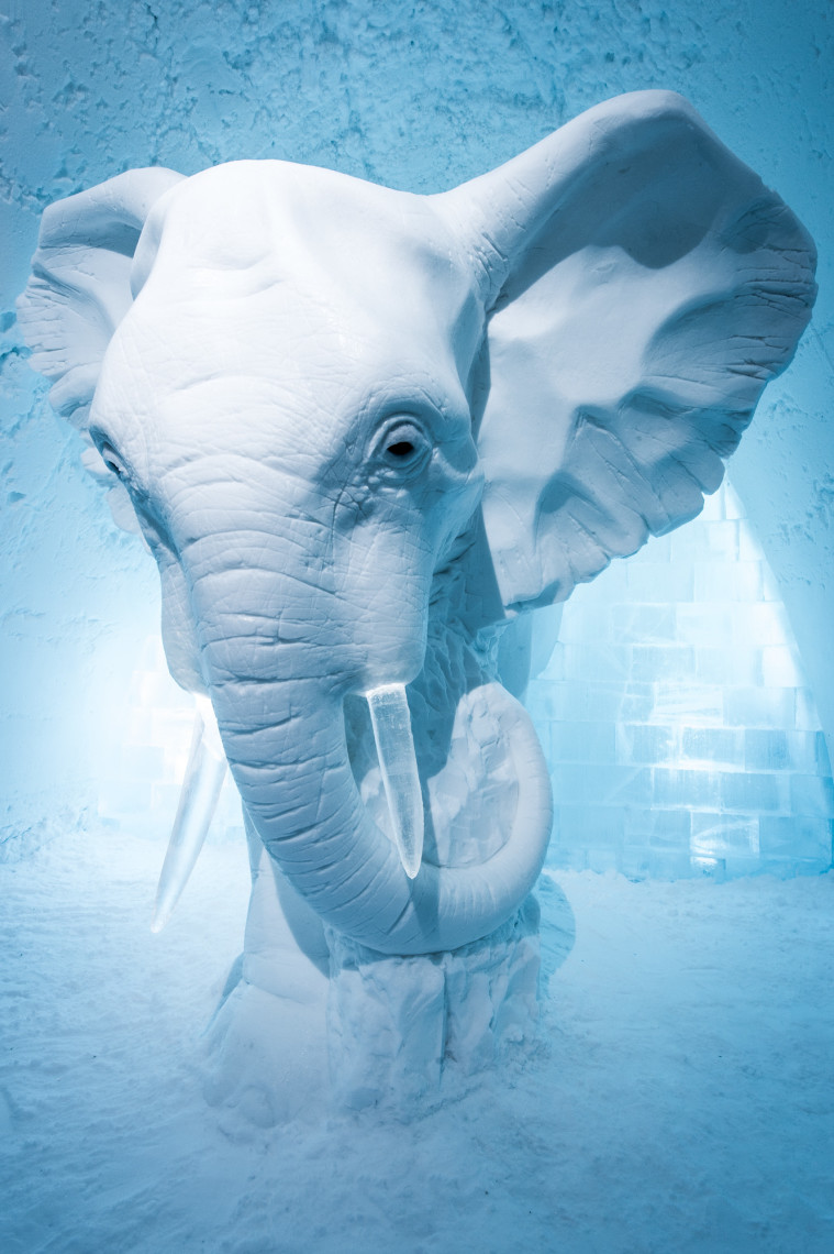 HOTEL SUITE ELEPHANT IN THE ROOM design by Anna Sofia Mååg, Sweden. Photo by Asaf Kliger.
