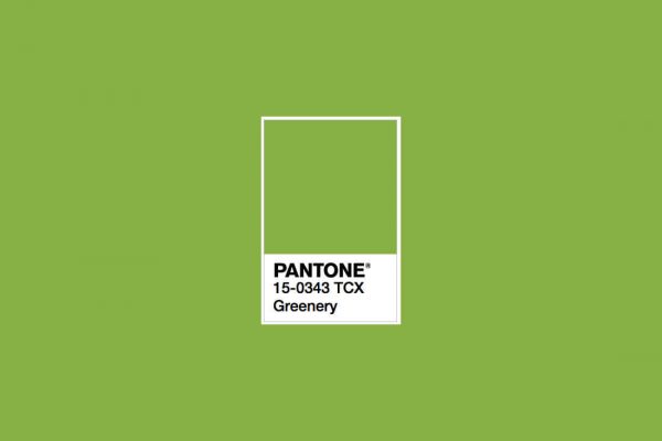 Greenery named Pantone Colour of the Year 2017. Image Courtesy of Pantone